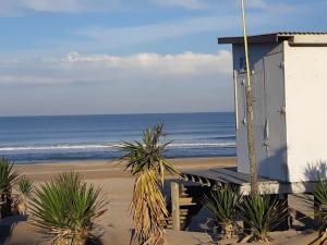 ILUSIONES Bosque y Mar
