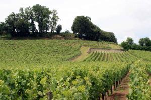 Appart'hotels La Residence Les Grands Vignobles : photos des chambres