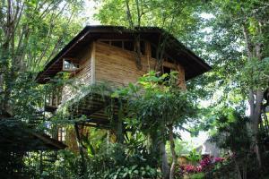 Roots Tree House - Boutique Hotel - Uluwatu