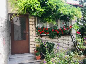 Prostorný apartmán v rodinném domě blízko centra s výhledem do zahrady