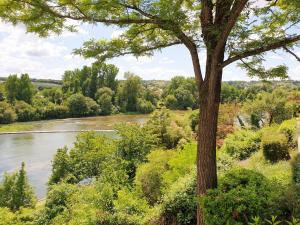 Maisons de vacances Grande maison escapade au bord de la riviere : photos des chambres