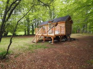 Glamping Cabin (Not Pet Friendly) room in Bamff Ecotourism