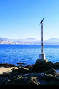 Niño do corvo Casa Moaña Cangas - Moana