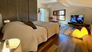 Sejours chez l'habitant Suites & Balneo chez l'habitant - Vue panoramique sur le Vercors : photos des chambres