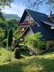 Pensiunea Mugur De Fluier - Frumosu