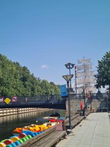 Old Town Cat Apartment