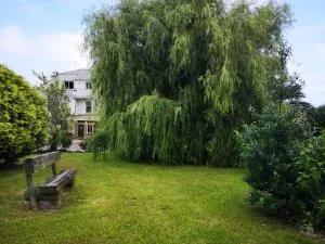 Hotel Amadora - Admite mascotas - Cordido