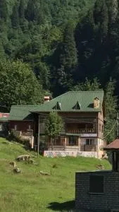 Guesthouse Dolunay - 艾德亚耶拉西