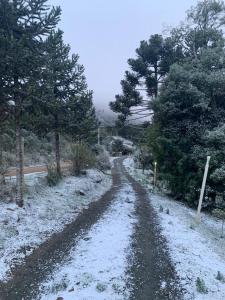 Casa em Urubici Sítio Pássaro Dágua
