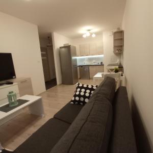 Apartament Ruczaj 2