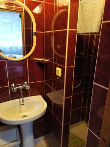 Willa Kamil w Centrum