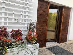 Apartament STUDIO i Apartament ZADOMEK Spytkowice koło ZATORA