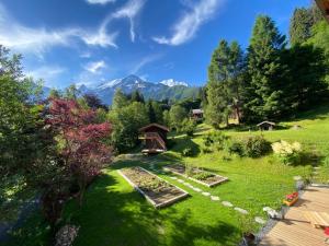 Appartements Chalet Mountain Vibes : photos des chambres