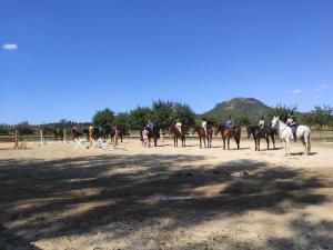 Gyulavezér Lovasbirodalma Vendégháza