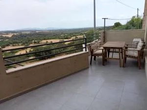 L'horitzó - 纳瓦拉