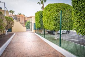 Mango 25 Bahia del Duque