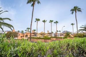 Mango 25 Bahia del Duque