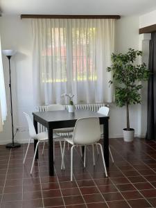 Ascona: Casa Conchiglia