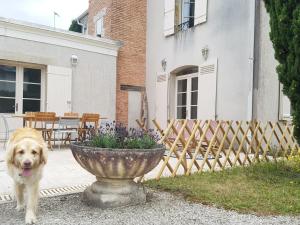 Maisons d'hotes Villa Eva des landes : photos des chambres