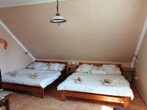 Slunečnice - Ubytování v soukromí na Třeboňsku