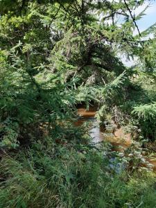 Rejkjær Camping Hytter & Lejligheder