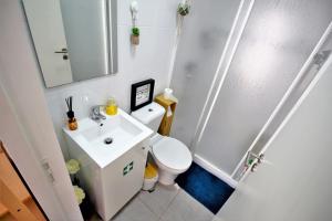 St. Johns Alley of Poetry and Imaginary Cats