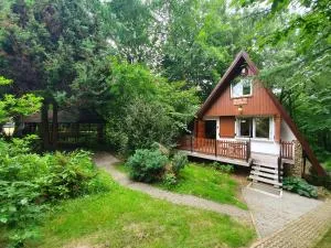 Leśny Zakątek - Żyraków