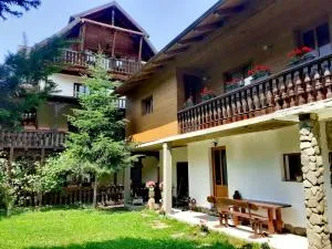 Pensiunea Perla Maramuresului - 博尔沙