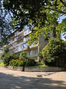 Квартира на Ардзинба - 古达乌塔