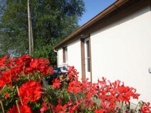 Maisons de vacances Gite Le Val-d'Ajol, 2 pieces, 3 personnes - FR-1-589-165 : photos des chambres