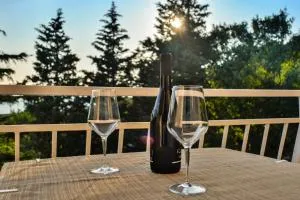 Apartment Jure - Krivi Put