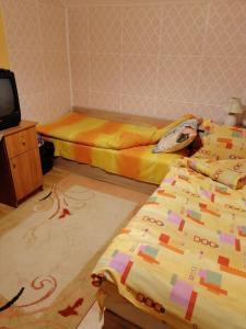 Стаи за гости Шейтанови