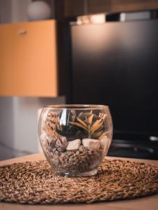 Apartments STARI TIGER