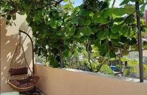 Apartments & Studios Tomanović