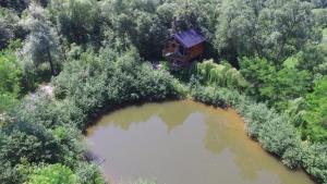 Cuibul Vulturilor - Casuta in Copac