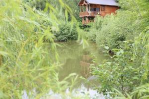 Cuibul Vulturilor - Casuta in Copac