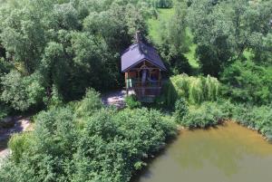 Cuibul Vulturilor - Casuta in Copac