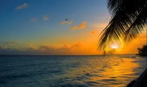 Mar Bonita Beach Appartment II - Quebradillas