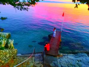 House Pelcic Kostrena