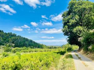 Villas VILLA BEL - Entre paradis et vignes : photos des chambres