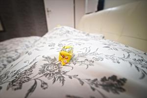 Apartamenty Bernardo Lux