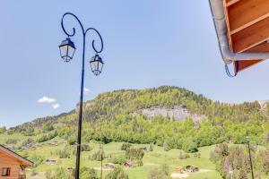 Appartements Chalet Aravis : photos des chambres