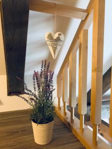 Chata Barborka, apartmán 8