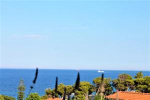 SEA VIEW APARTMENT 15 MIN FROM ATHENS AIRPORT