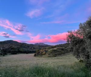 Appartements Nuit calme sur domaine : photos des chambres