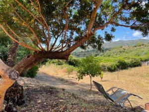 Appartements Nuit calme sur domaine : photos des chambres