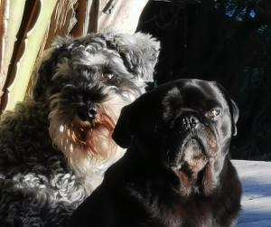 Happy Homes - Imhoffs Gift