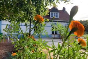 Maisons de vacances Le Moulin de la Planquette : photos des chambres