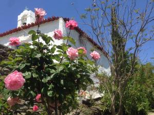 Saint Louis Andros Greece