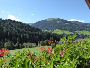 Alpbacher Appartementhaus Johannes